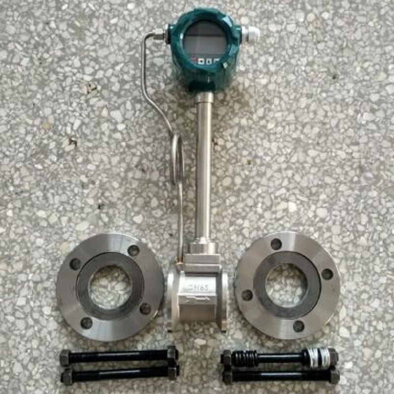 LUGB2406CP5Z蒸汽流量计 一体化温压补偿型 DN65 现场显示流量计
